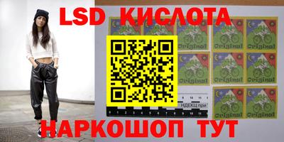 шишки Заволжье
