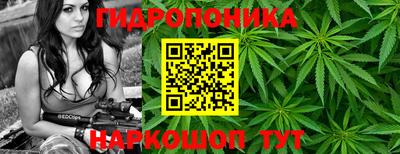 амф Жуковский