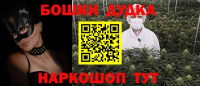 шишки Заволжье