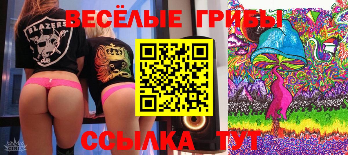 Гагарин  Галлюциногенные грибы Cubensis  Галлюциногенные грибы Psilocybe  Вход с VPN 